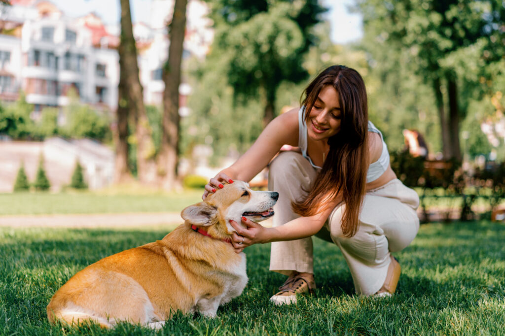 Woman petting her corgi dog at dog park